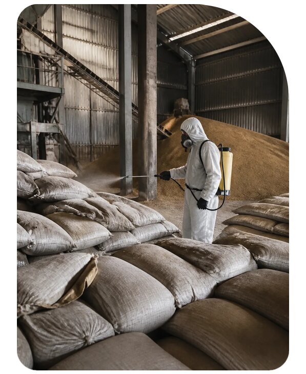 Дезинсекция зернового склада в Южном-Сахалинске по цене от 15497 р. | Сенат-Южн
